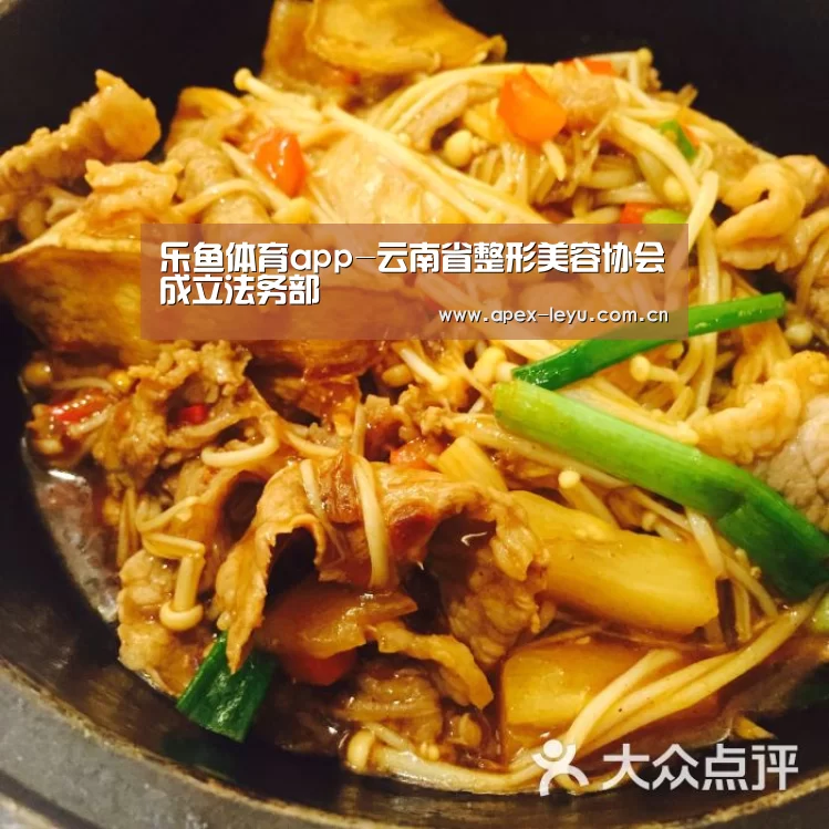 乐鱼体育app-云南省整形美容协会成立法务部