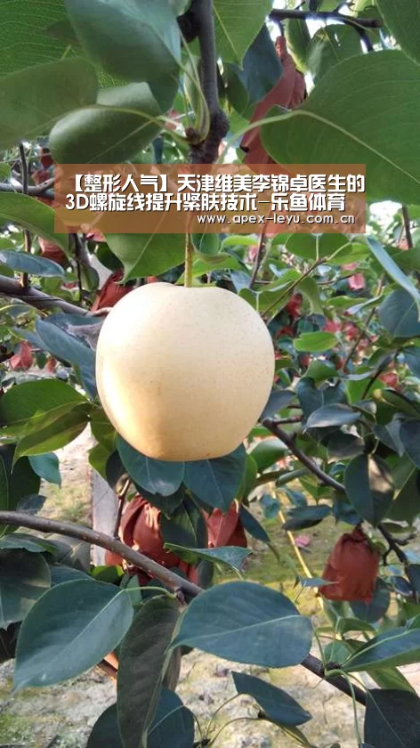 【整形人气】天津维美李锦卓医生的3D螺旋线提升紧肤技术-乐鱼