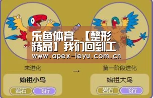 乐鱼体育_【整形精品】我们回到工作单位后应该注意些什么呢