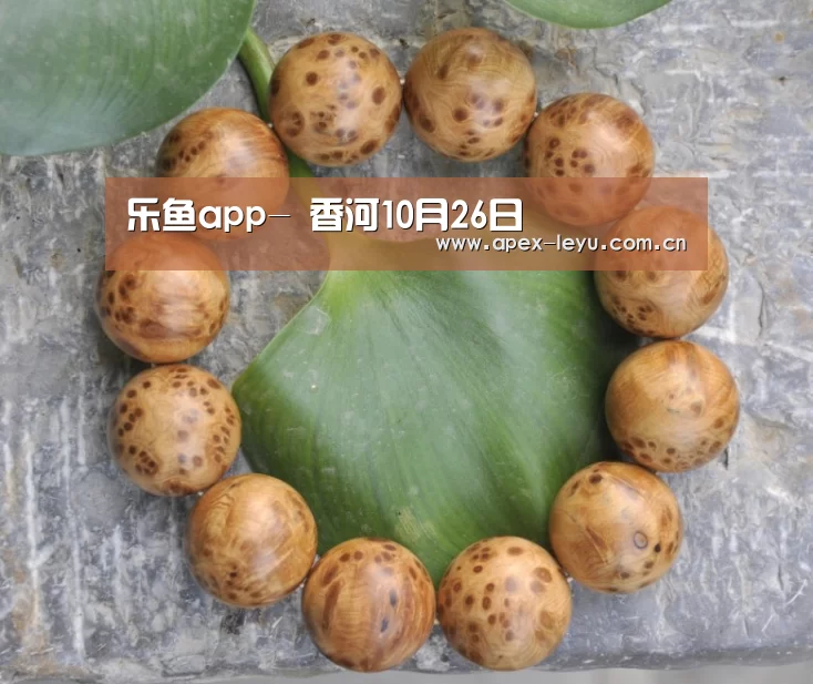 乐鱼app-
香河10月26日