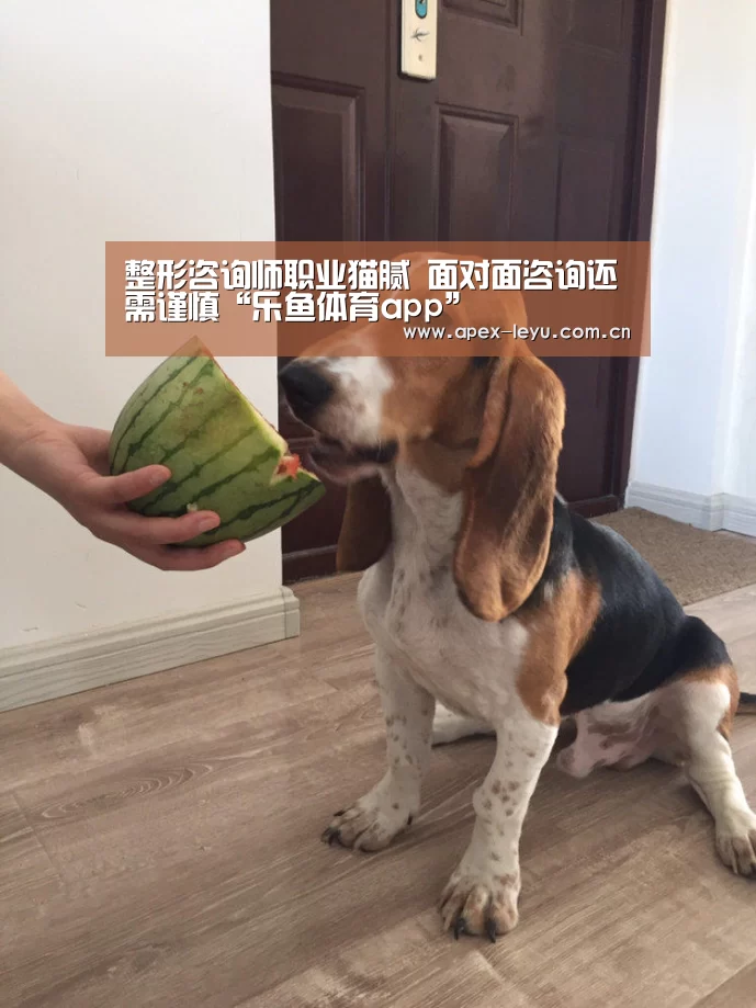 整形咨询师职业猫腻 面对面咨询还需谨慎“