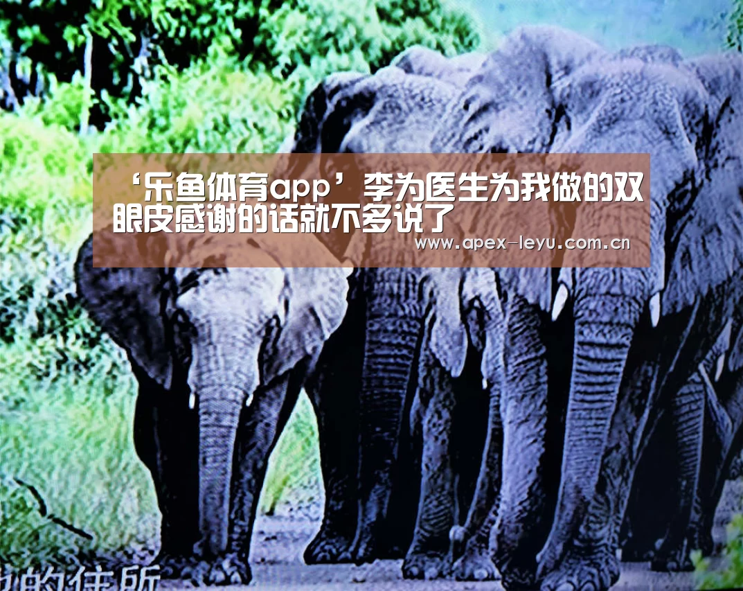 ‘乐鱼体育app’李为医生为我做的双眼皮感谢的话就不多说了
