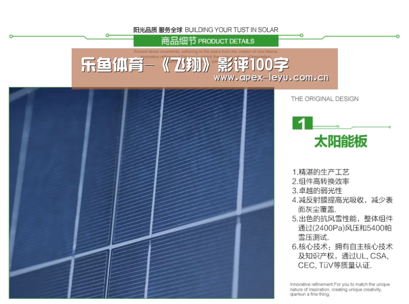 乐鱼体育-《飞翔》影评100字