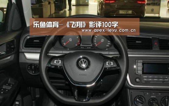 乐鱼体育-《飞翔》影评100字(图3) 乐鱼app