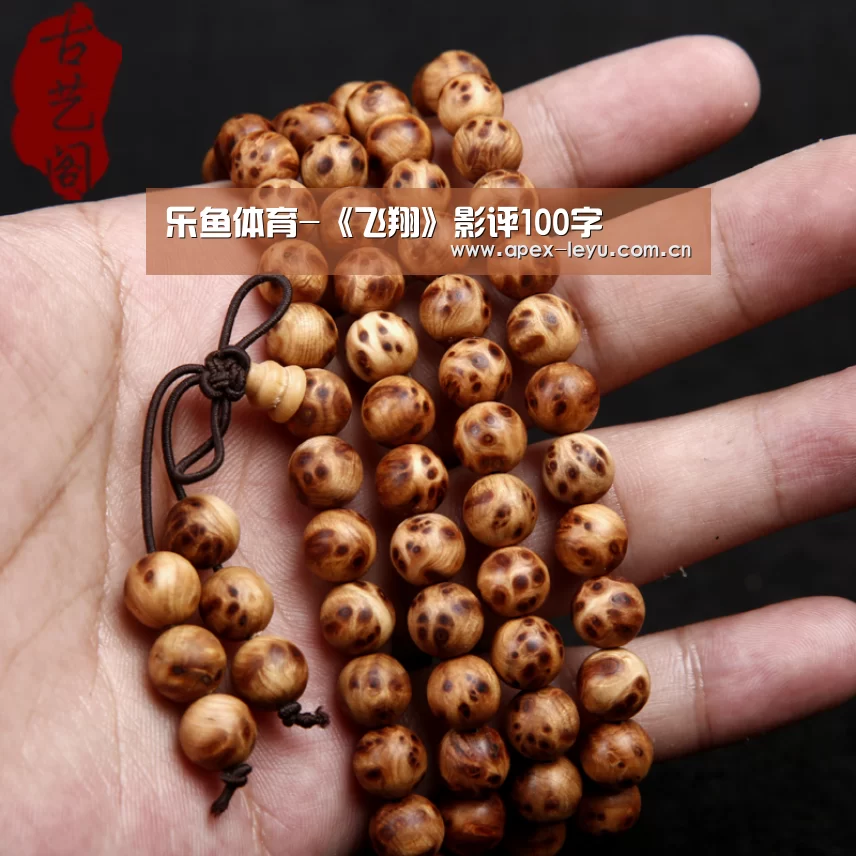 乐鱼体育-《飞翔》影评100字(图2) 乐鱼体育app
