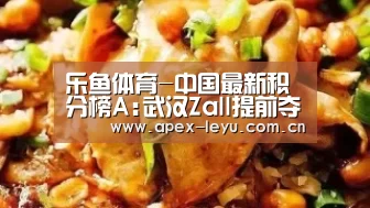 乐鱼体育-中国最新积分榜A:武汉Zall